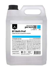 Средство от засора в трубах Prosept Prof BT Bath Prof / Просепт Проф