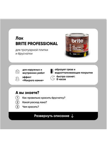 Лак для тротуарной плитки и брусчатки Brite Professional / Брайт Проф