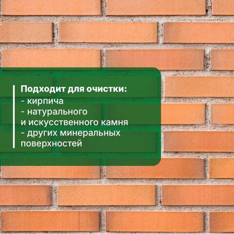 Очиститель фасадов от высолов Prosept Salt Cleaner / Просепт Солт Клинер