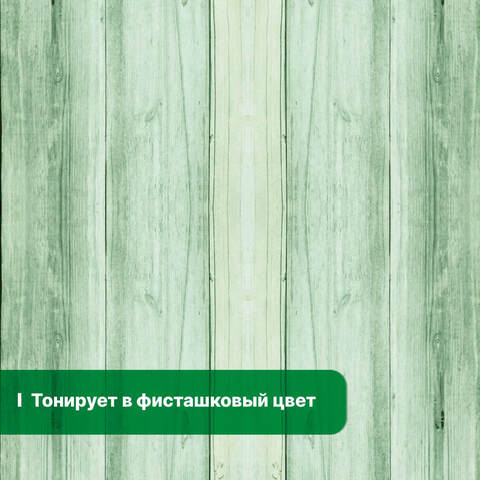 Антисептик невымываемый Prosept Eco Ultra / Просепт Эко Ультра