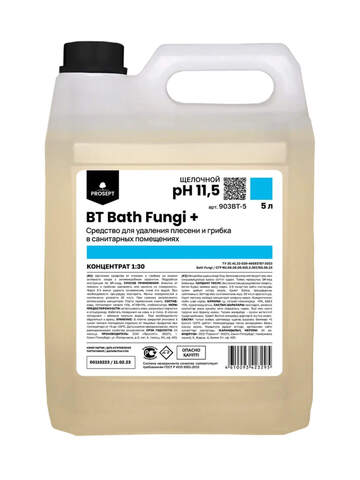 Средство от плесени и грибка Prosept Prof BT Bath Fungi+ / Просепт Проф