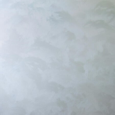 Штукатурка декоративная перламутровая Мокрый Шелк Dali-Decor / Дали-Декор