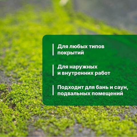 Пропитка защитная от мха концентрат 1:10 Prosept / Просепт