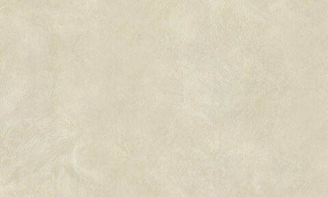 Декоративная штукатурка с эффектом натурального шелка Decorazza Seta / Декорацца Сета