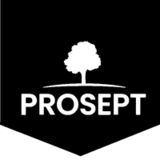 Prosept Prof / Просепт Проф